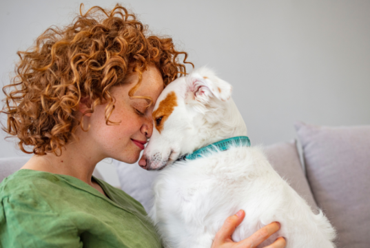 Πως η ασφάλιση κατοικιδίων μειώνει το κόστος της φροντίδας των τετράποδων φίλων μας;