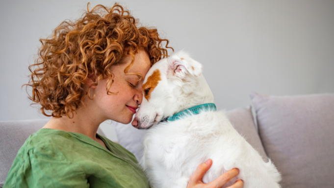 Πως η ασφάλιση κατοικιδίων μειώνει το κόστος της φροντίδας των τετράποδων φίλων μας;
