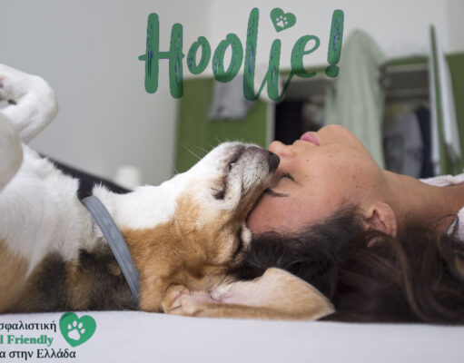 Σημάδια που δείχνουν ότι ο σκύλος σας έχει κατάθλιψη εξαιτίας του διαζυγίου